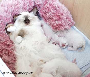 beautiful_mind_babies_06040.jpg