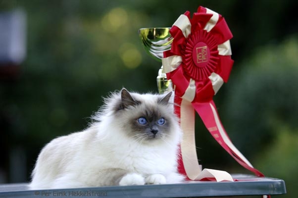 desiree-s.winner_0508.jpg