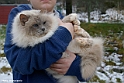 fahrenheit_111223_13
