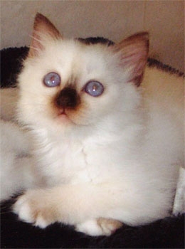 franceska_060722_2.jpg