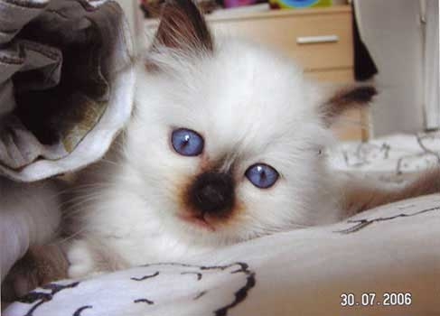 franceska_060730.jpg