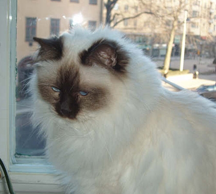 franceska_090309.jpg