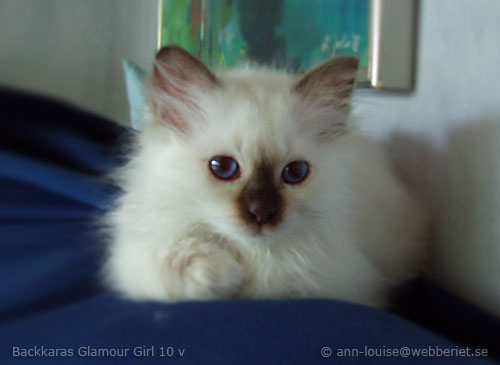 glamour_girl_060518.jpg