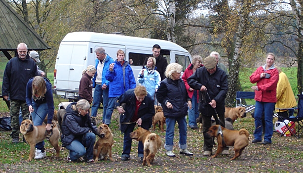 snogeholm_061022.jpg