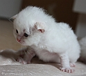 easy_to_love_090422_8