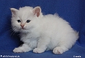 easy_to_love_090515_9