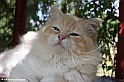 easy_to_love_110612_1