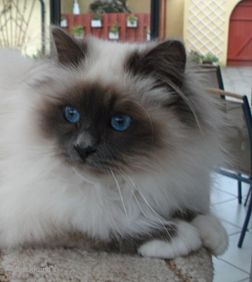 prospect_071217.jpg