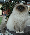 prospect_080213_7