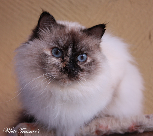 sunshine_121201.jpg