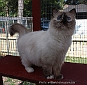 sunshine_080606_1