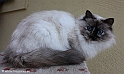 sunshine_090210