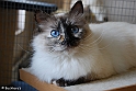 sunshine_090428_3