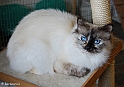 sunshine_090428_4