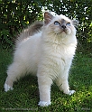 isa_060913