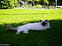 jackpot1_2010