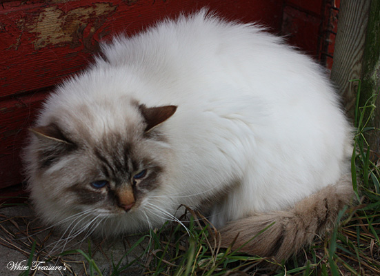 madnezz_151114_1.jpg