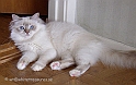 mia_030216
