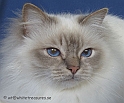 mia_060401_5
