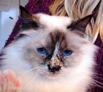 nina_050316.jpg