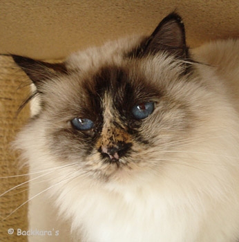 nina_080413_2.jpg