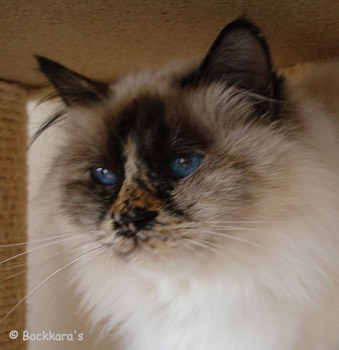 nina_080413_3.jpg