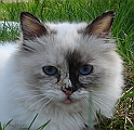 proud_peggy_060507